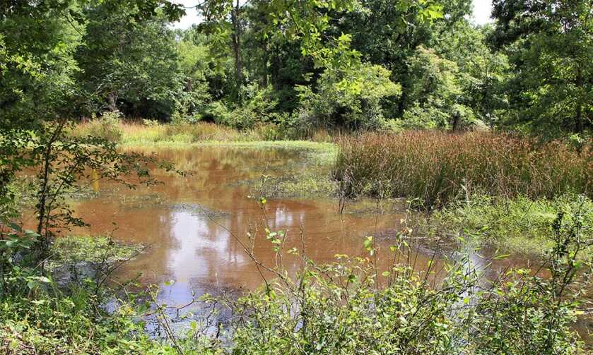 US Fish and Wildlife Announces 'Largest Expansion of Hunting and Fishing Opportunities to Date' US Fish and Wildlife Announces 'Largest Expansion of Hunting and Fishing Opportunities to Date'