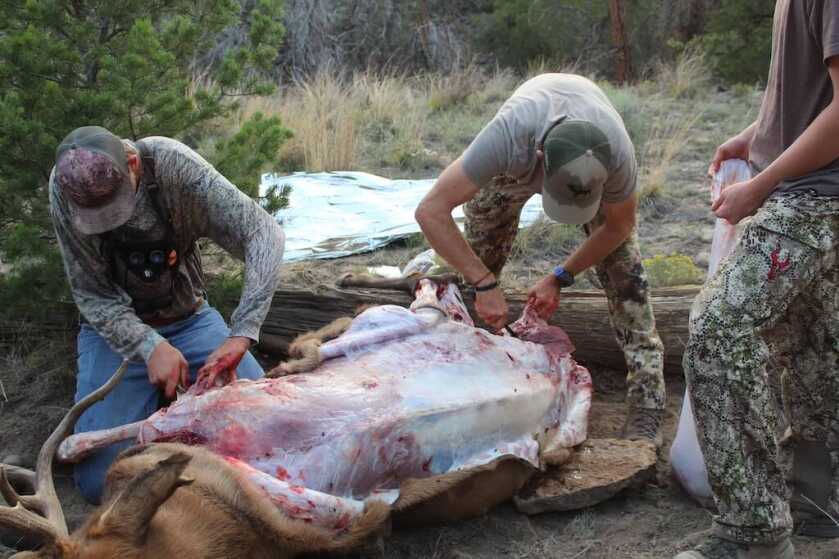 4 Tips To Better Meat Care