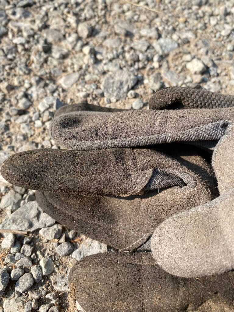 Gloves: All Summer Long Gloves: All Summer Long