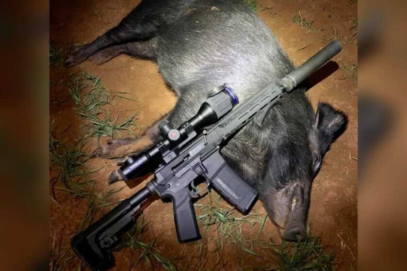 Brownells BRN-180S: 223 Edition