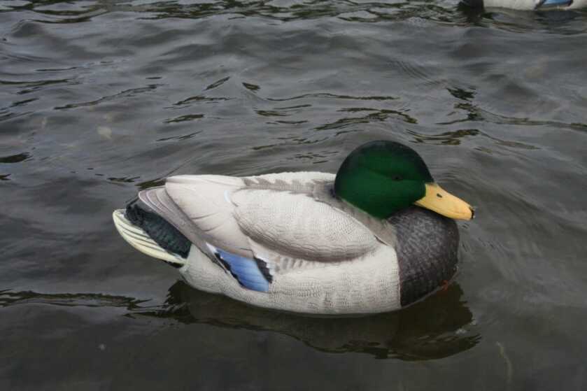 Lifetime Decoys FlexFloat Decoys