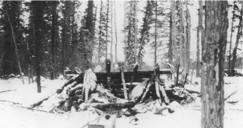 Albert Johnson: The Mad Trapper of Rat River