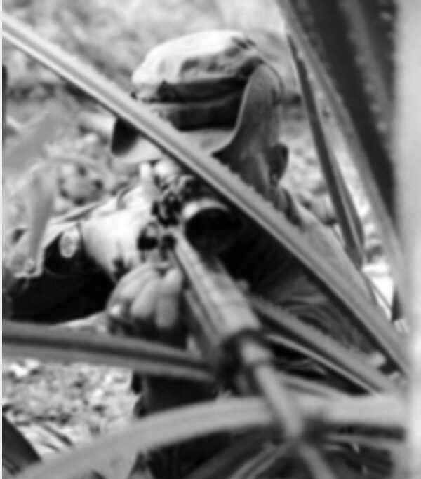 Bert Waldron: Nature versus Nurture, A Sniper's Story