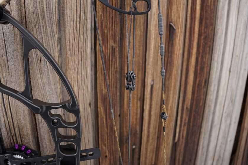 Bow Review: The Darton Spectra E Bow Review: The Darton Spectra E