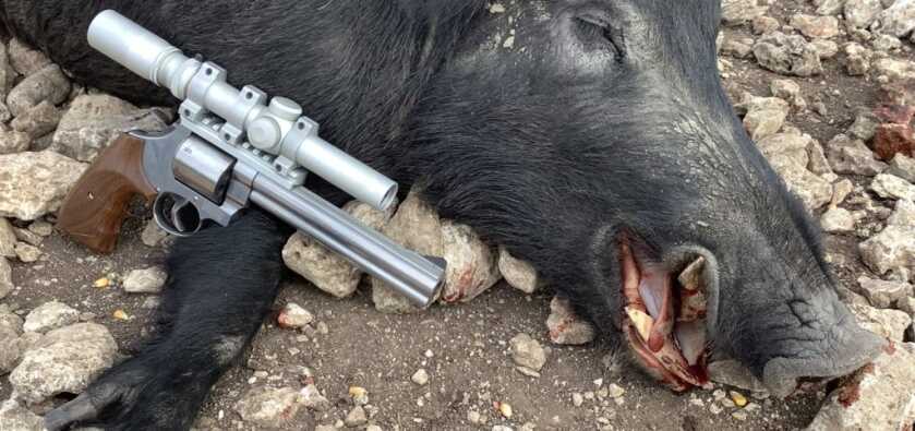 Handgunning Hogs: 357’s & 41’s Handgunning Hogs: 357’s & 41’s