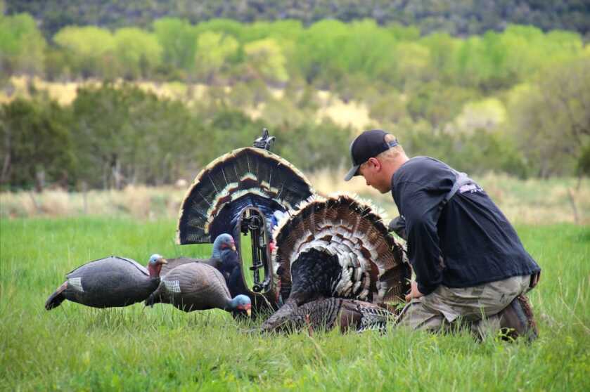 Go Bow-Mounted For Turkey Go Bow-Mounted For Turkey