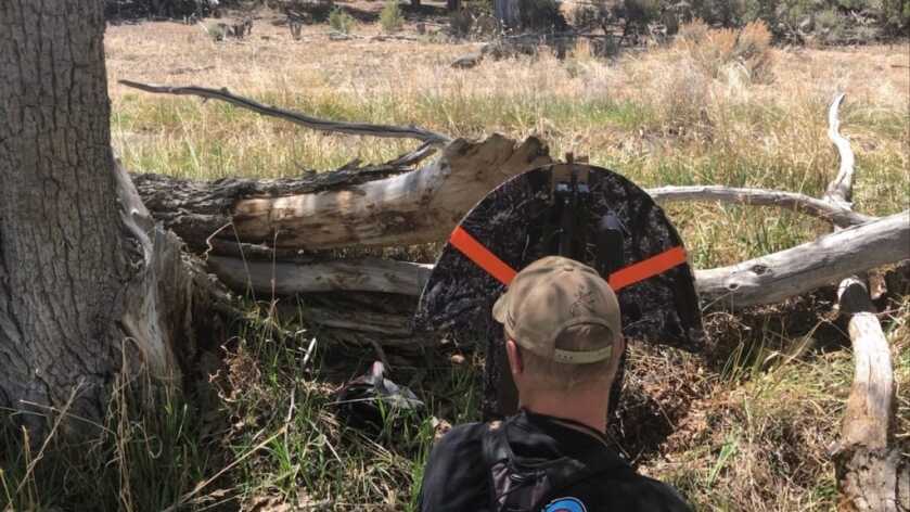 Go Bow-Mounted For Turkey Go Bow-Mounted For Turkey