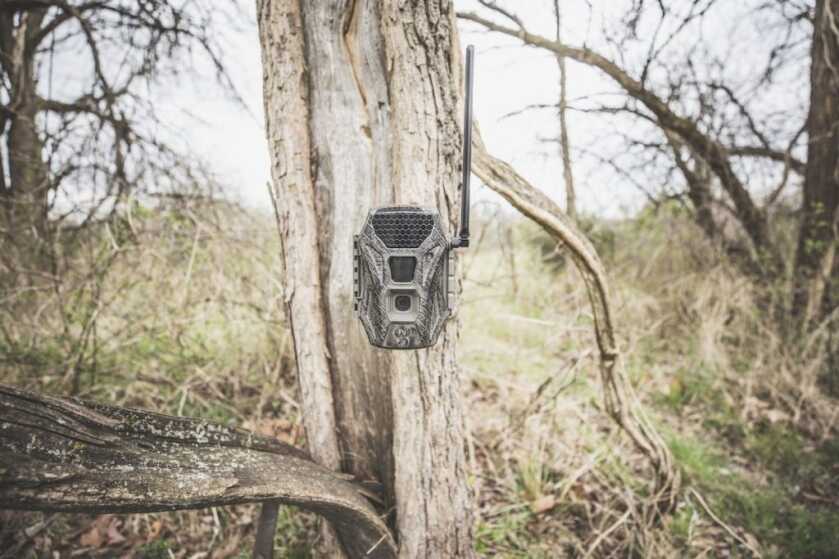 Wildgame Innovations - Terra Cell Camera Now Shipping! Wildgame Innovations - Terra Cell Camera Now Shipping!