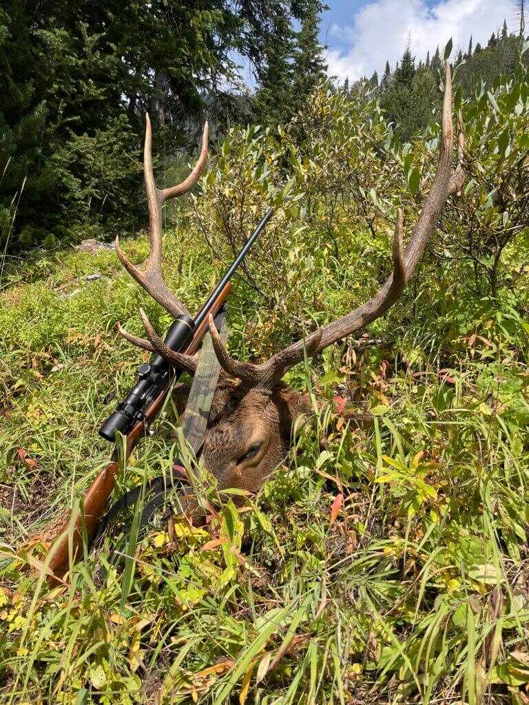 Take the Shot? An Experienced Hunter Gets a Close Opportunity at a Good Bull Elk, but the Vitals are Covered and His Shooting Position is Unsupported. Will He Take the Shot? - Presented by Badlands Take the Shot? An Experienced Hunter Gets a Close Opportunity at a Good Bull Elk, but the Vitals are Covered and His Shooting Position is Unsupported. Will He Take the Shot? - Presented by Badlands