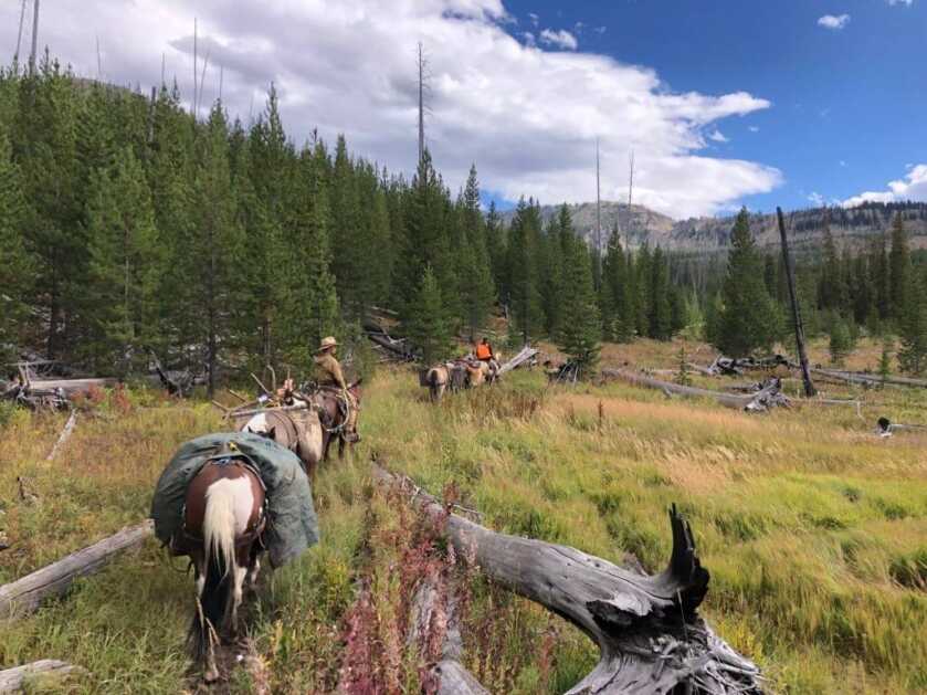 Take the Shot? An Experienced Hunter Gets a Close Opportunity at a Good Bull Elk, but the Vitals are Covered and His Shooting Position is Unsupported. Will He Take the Shot? - Presented by Badlands Take the Shot? An Experienced Hunter Gets a Close Opportunity at a Good Bull Elk, but the Vitals are Covered and His Shooting Position is Unsupported. Will He Take the Shot? - Presented by Badlands