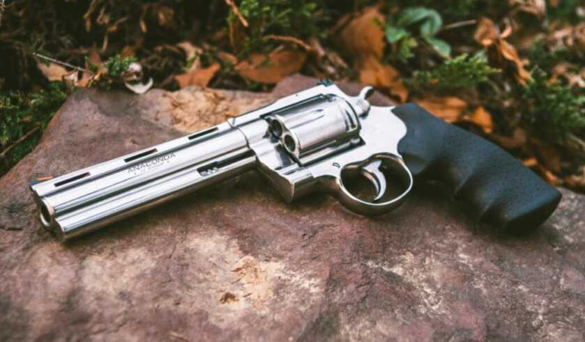 The Wheelgun Hunter and the Colt Anaconda: A Match Made in Hunting Heaven The Wheelgun Hunter and the Colt Anaconda: A Match Made in Hunting Heaven