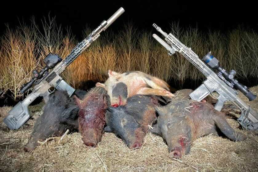 Here's What I Wish I Had The First Time I Went Hog Hunting Here's What I Wish I Had The First Time I Went Hog Hunting
