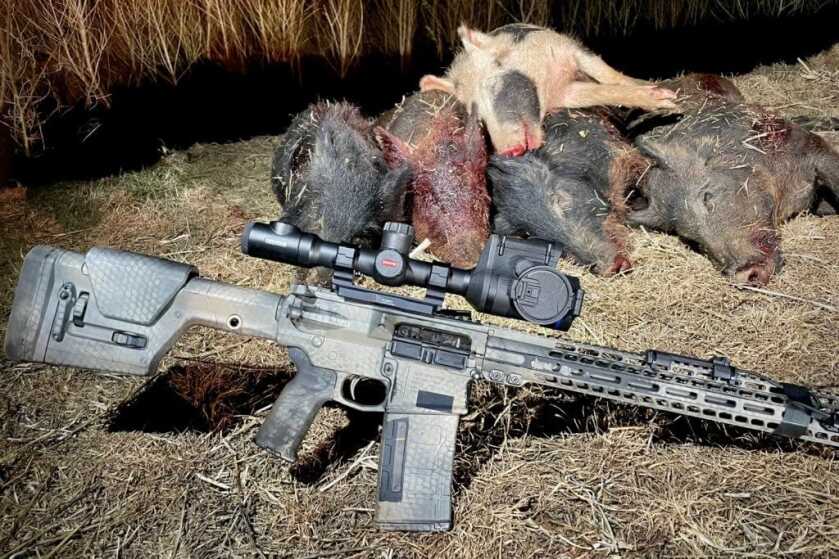 Here's What I Wish I Had The First Time I Went Hog Hunting Here's What I Wish I Had The First Time I Went Hog Hunting