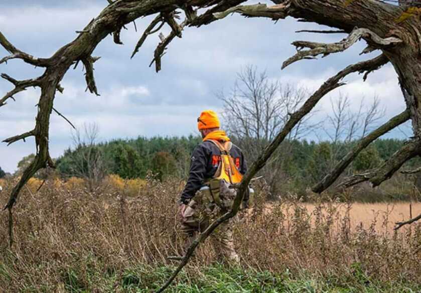 New Michigan Deer Harvesting System a Success New Michigan Deer Harvesting System a Success