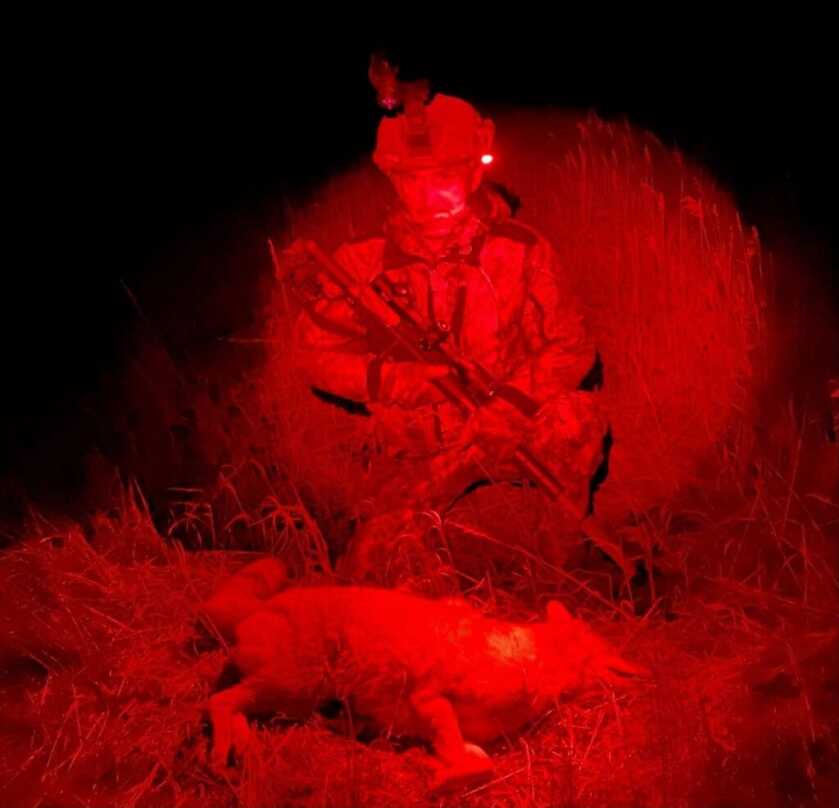 Thermal image captured through the InfiRay BOLT TH50C during a nighttime predator hunt