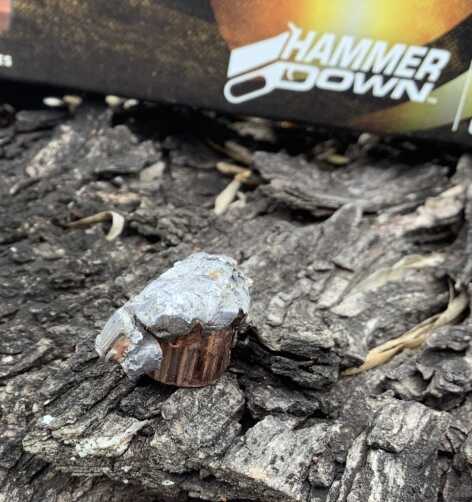 Review - Federal HammerDown ammunition Review - Federal HammerDown ammunition