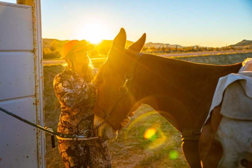 Tips To Better Understand & Enjoy Your Mule Tips To Better Understand & Enjoy Your Mule
