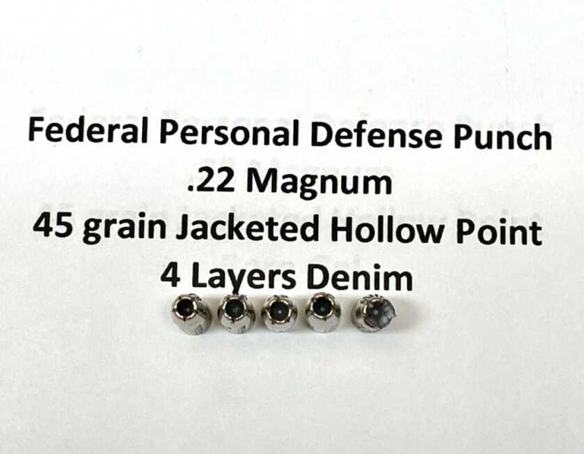 .22 Magnum for Personal Defense – Is the Juice Worth the Squeeze? .22 Magnum for Personal Defense – Is the Juice Worth the Squeeze?
