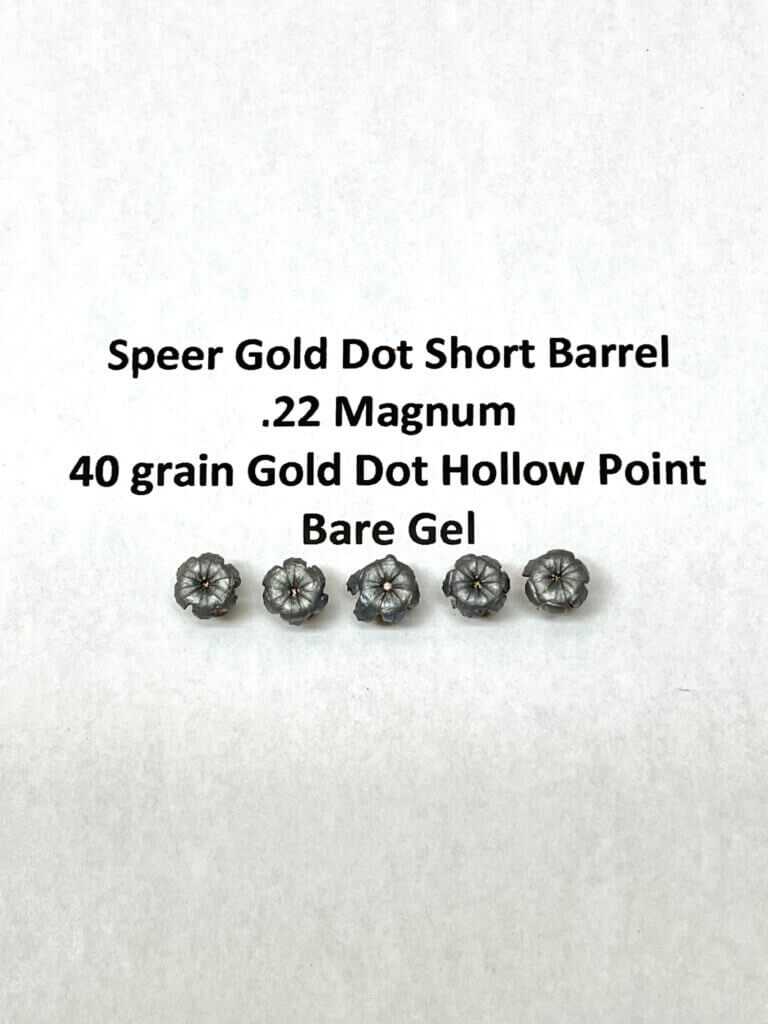 .22 Magnum for Personal Defense – Is the Juice Worth the Squeeze? .22 Magnum for Personal Defense – Is the Juice Worth the Squeeze?