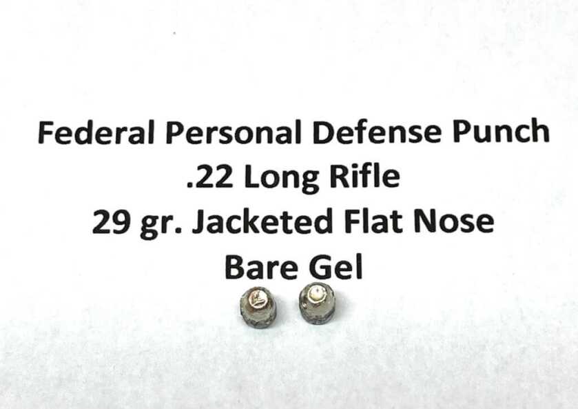 .22 Magnum for Personal Defense – Is the Juice Worth the Squeeze? .22 Magnum for Personal Defense – Is the Juice Worth the Squeeze?