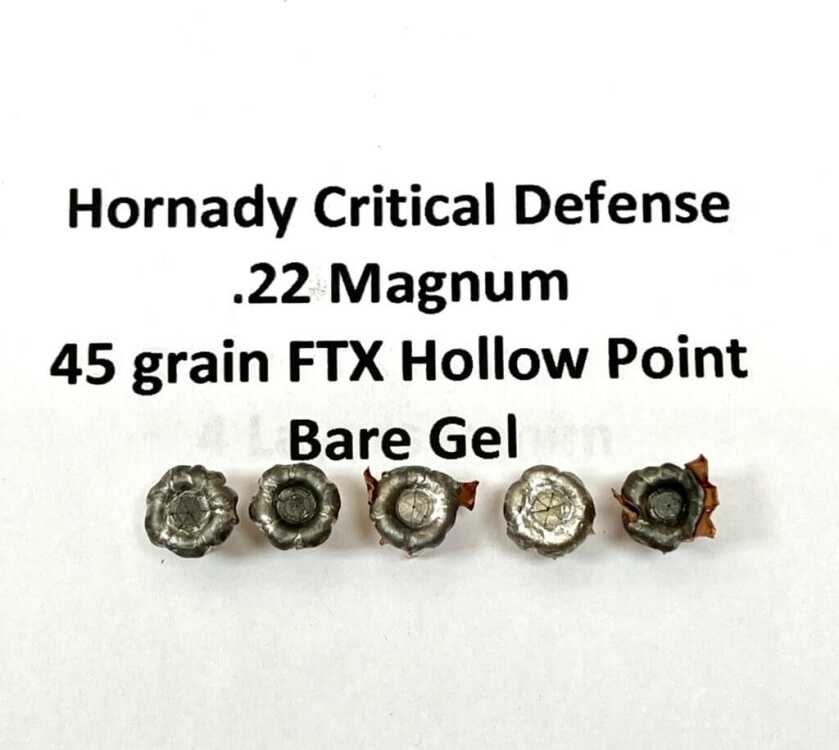 .22 Magnum for Personal Defense – Is the Juice Worth the Squeeze? .22 Magnum for Personal Defense – Is the Juice Worth the Squeeze?