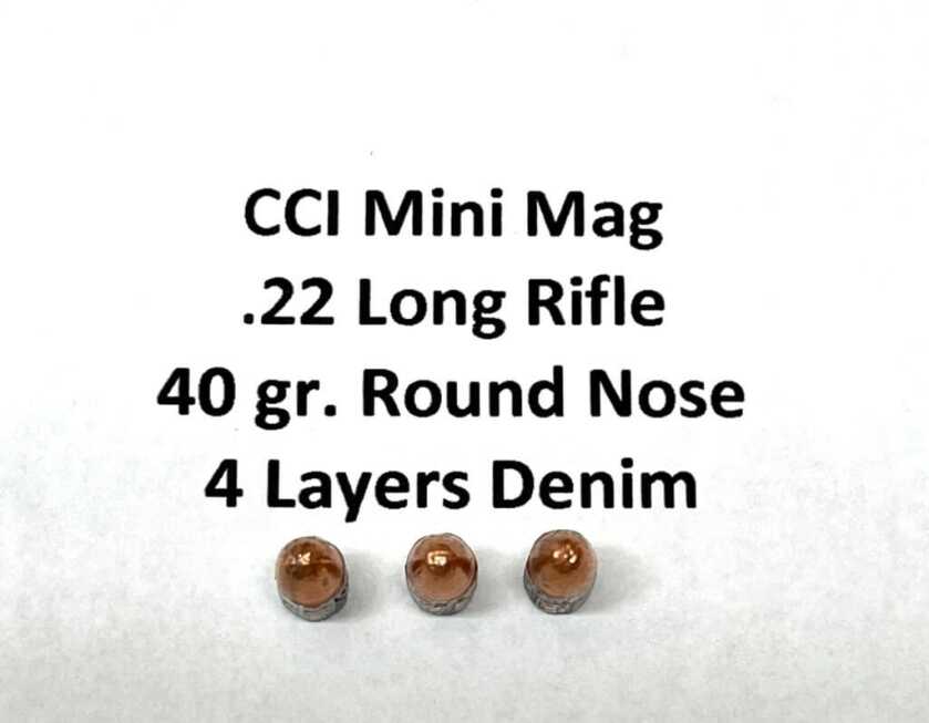 .22 Magnum for Personal Defense – Is the Juice Worth the Squeeze? .22 Magnum for Personal Defense – Is the Juice Worth the Squeeze?