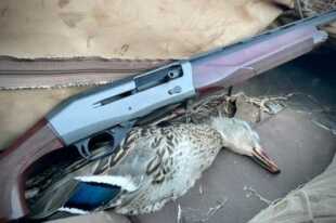 12 Gauge Gas-Less Inertia Shotgun Review: Featuring the CZ 1012