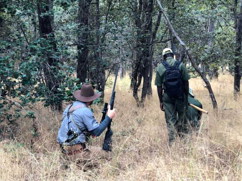 TAKE THE SHOT?: Black Death In The Brush TAKE THE SHOT?: Black Death In The Brush