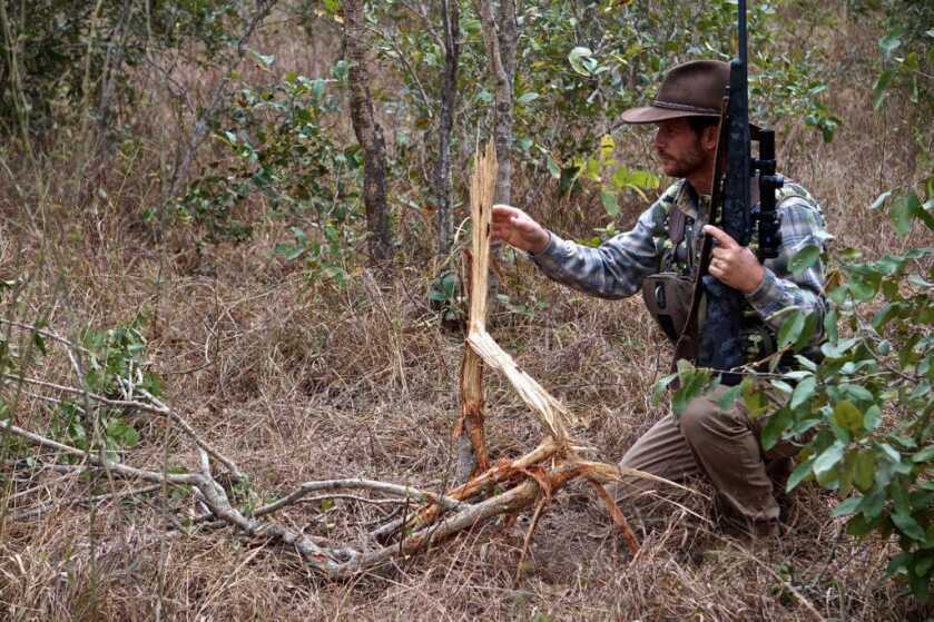 TAKE THE SHOT?: Black Death In The Brush TAKE THE SHOT?: Black Death In The Brush