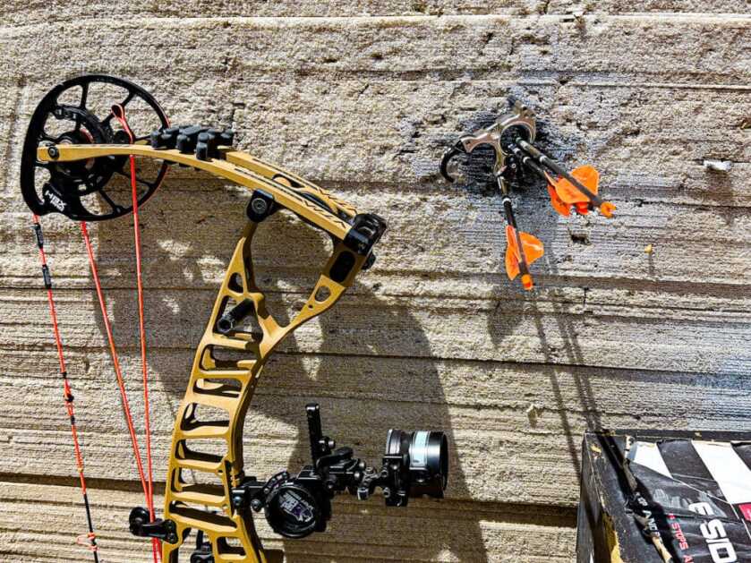 Bow and SEVR-tipped broadheads