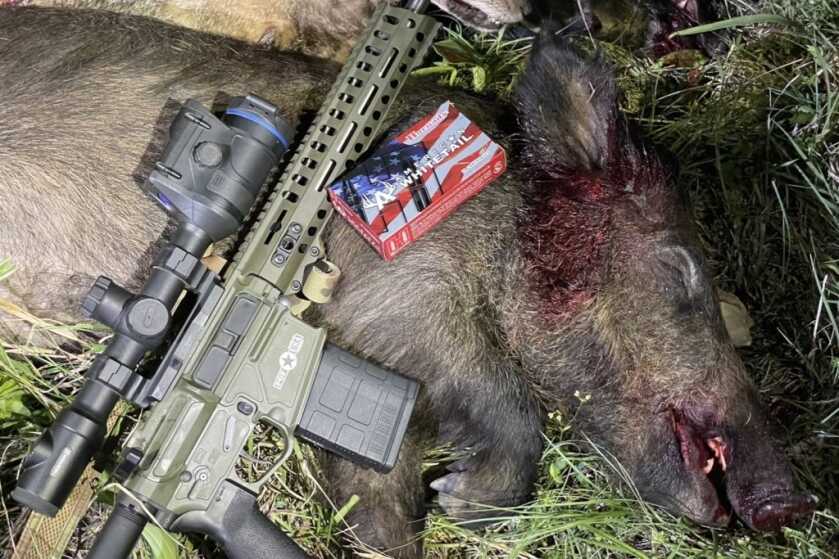 Project “Rogue” - POF Rogue Sub-6lb AR10 Review! POF Rogue with Hornady ammo and a wild hog