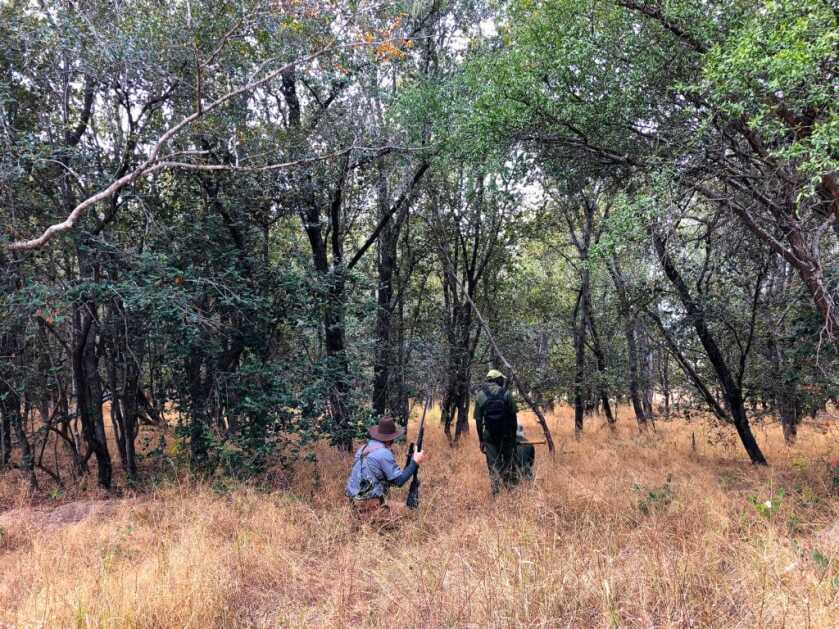 Hunt365 - TAKE THE SHOT: Monster Cape Buffalo Hunters track buffalo through the Sandvelt
