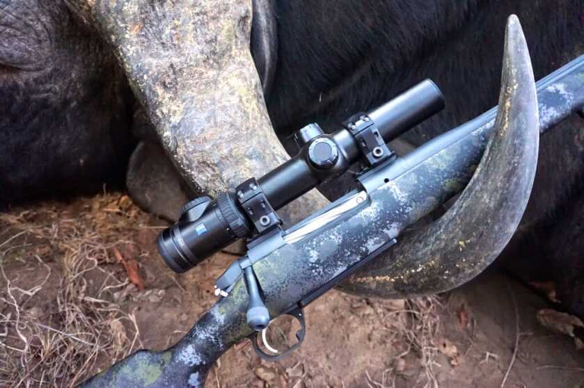 Hunt365 - TAKE THE SHOT: Monster Cape Buffalo Bergara Canyon propped against enormous buffalo horns