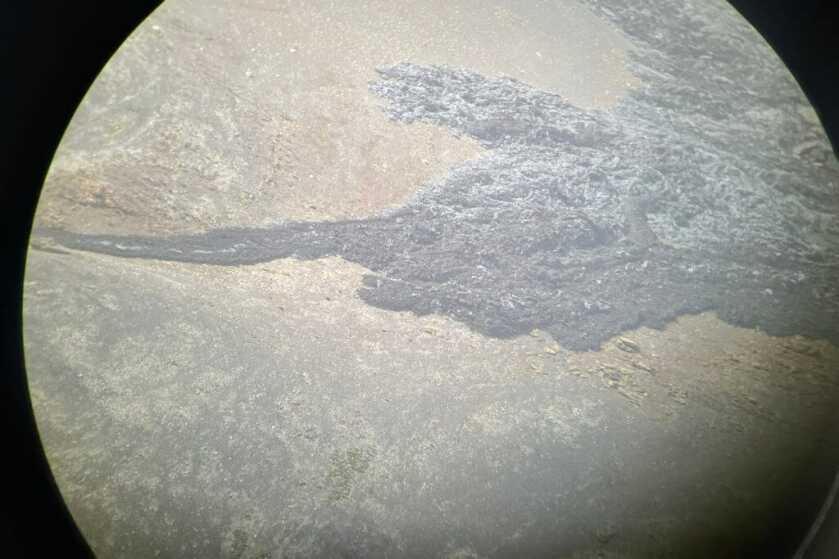 2 - Nature Observation: Sig ZULU8 HDX 10x42 Binocular Review SIG SAUER Binoculars being used to glass lava flows