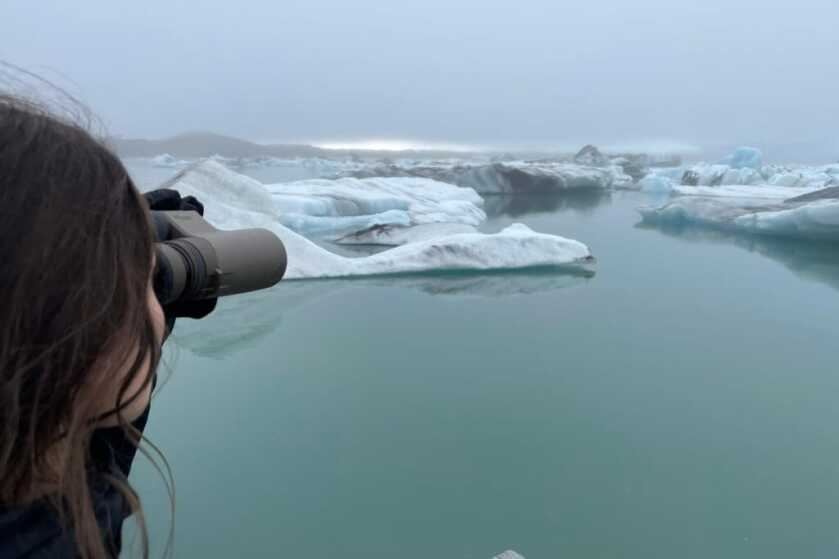 2 - Nature Observation: Sig ZULU8 HDX 10x42 Binocular Review SIG SAUER ZULU8 HDX Binoculars used to look at seals on blue icebergs