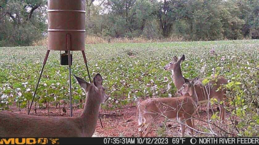 Captured! Muddy Matrix Cellular Trail Camera Review Captured! Muddy Matrix Cellular Trail Camera Review