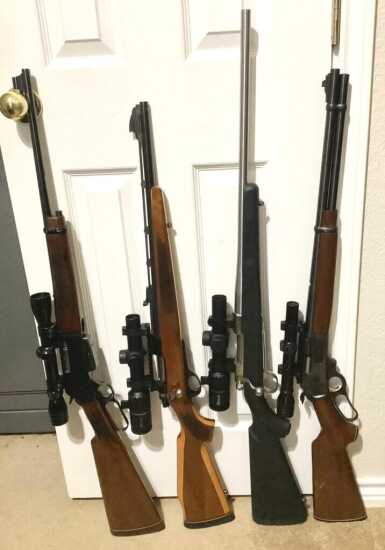 The Ideal Rifle caliber for Wild Boar .35 caliber rifles