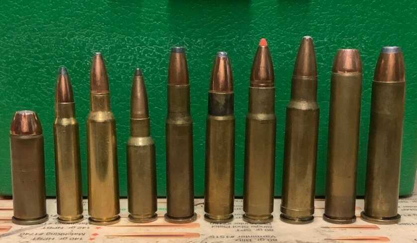 The Ideal Rifle caliber for Wild Boar rifle ammo
