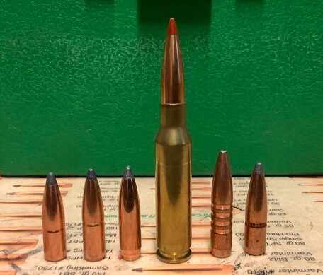 The Ideal Rifle caliber for Wild Boar rifle ammo wild boar