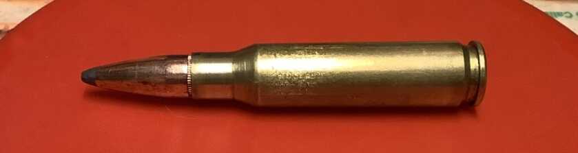 The Ideal Rifle caliber for Wild Boar rifle ammo