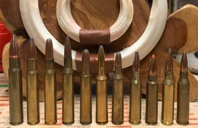 The Ideal Rifle caliber for Wild Boar rifle ammo
