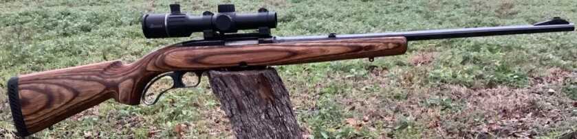 The Ideal Rifle caliber for Wild Boar Winchester 308 with scope