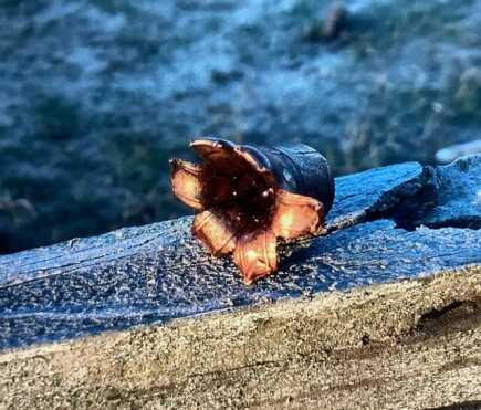 bullet after impact