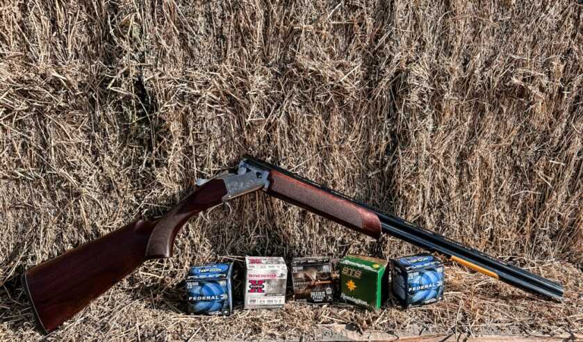 shotgun by hay