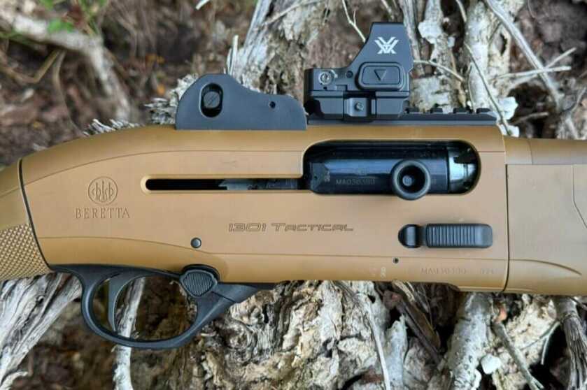 charging handle and bold releaseon shotgun