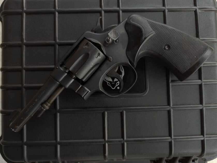 S&W profile 