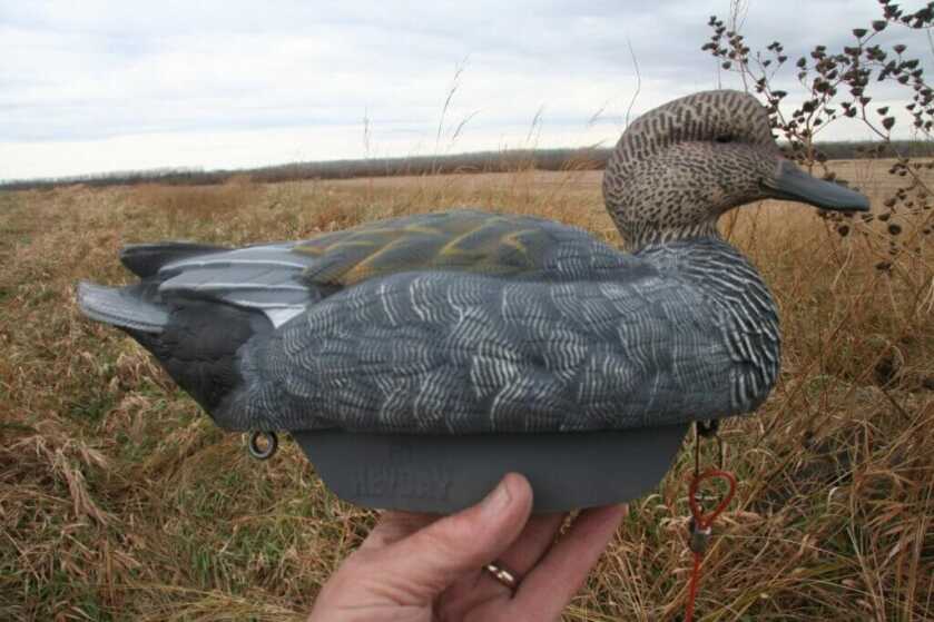 duck decoy