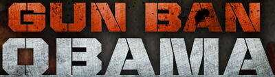 Vote Mitt Romney Next Tuesday - Protect the 2nd Amendment