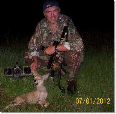 Killing Coyotes 101 - Daytime and Night Hunting Problem Coyotes