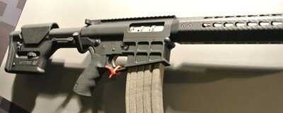 rhino01